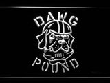 Cleveland Browns Dawg Pound LED Neon Sign Electrical - White - TheLedHeroes