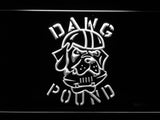 Cleveland Browns Dawg Pound LED Sign - White - TheLedHeroes