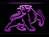 FREE Carolina Panthers (8) LED Sign - Purple - TheLedHeroes