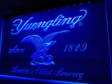 FREE Yuengling LED Sign - Blue - TheLedHeroes