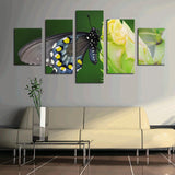 Butterfly on a flower 5 Pcs Wall Canvas -  - TheLedHeroes